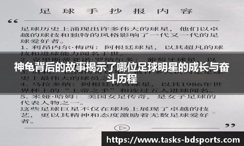 神龟背后的故事揭示了哪位足球明星的成长与奋斗历程